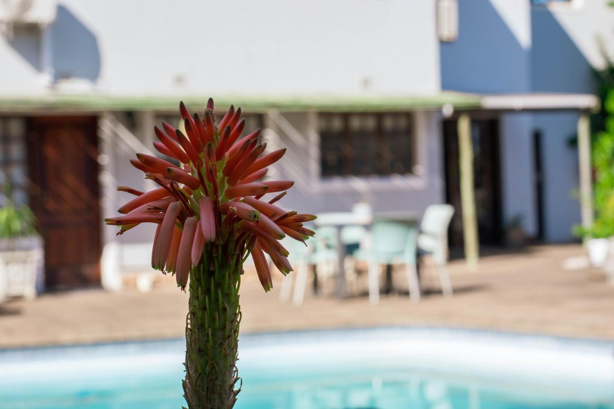 African Sands B&B Amanzimtoti Eksteriør bilde